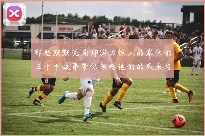 那些默默无闻却实力惊人的家伙们三十个故事带你领略他们的风采与传奇