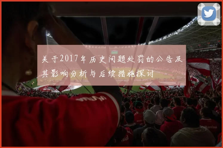 关于2017年历史问题处罚的公告及其影响分析与后续措施探讨
